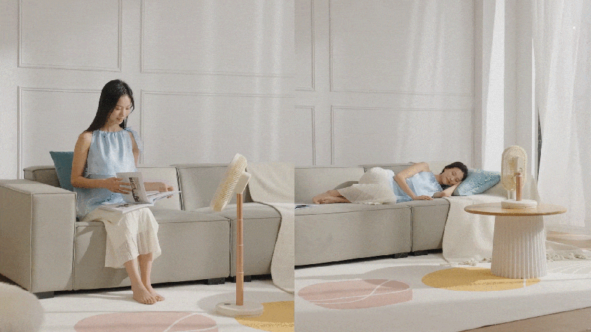 LBH_DSHJS2210A_06.gif
