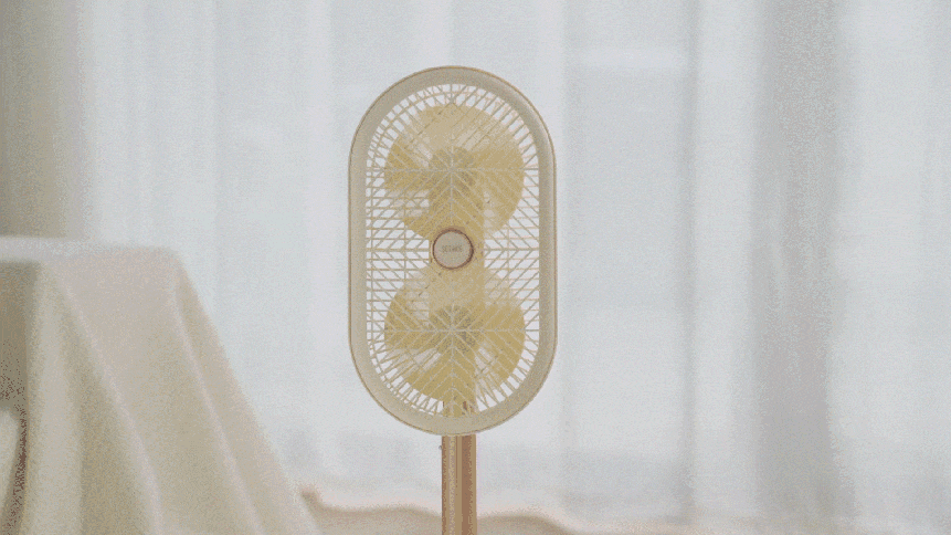 LBH_DSHJS2210A_03.gif