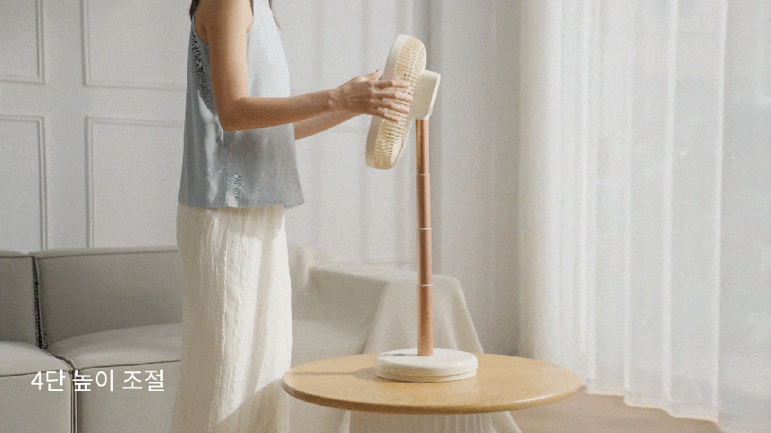 LBH_DSHJS2210A_07.gif